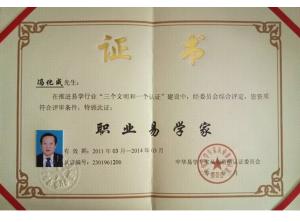 職業(yè)易學家